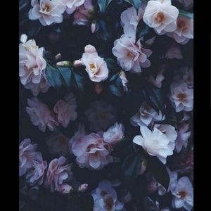 Meet your Posher, Melody